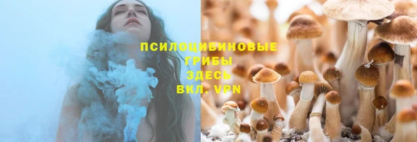 кокс Белокуриха