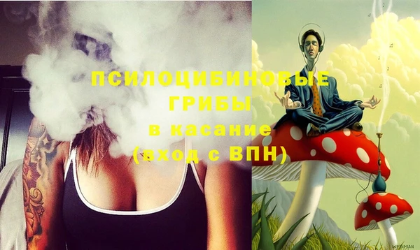 кокс Белокуриха
