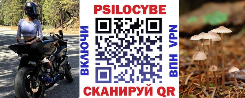 продажа наркотиков  Гулькевичи  Галлюциногенные грибы MAGIC MUSHROOMS 