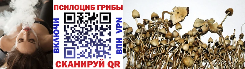 Псилоцибиновые грибы GOLDEN TEACHER Гулькевичи